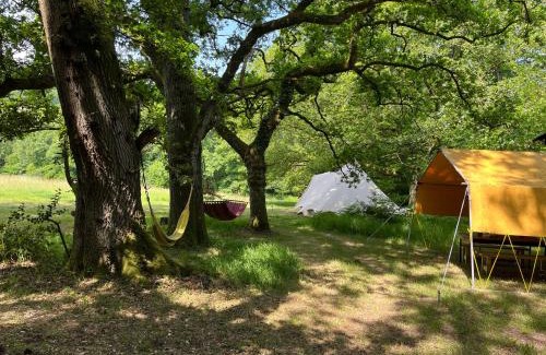 Cullompton Otro | Lickham Bottom Camping
