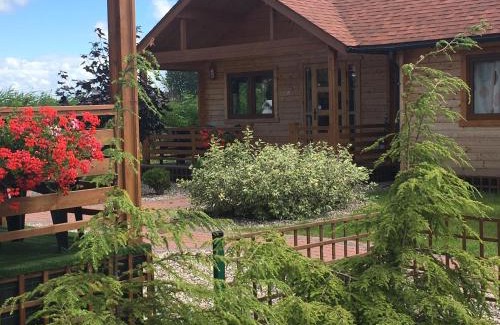 Krynica Morska Cabina | LIDO - domy letniskowe z klimatyzacją