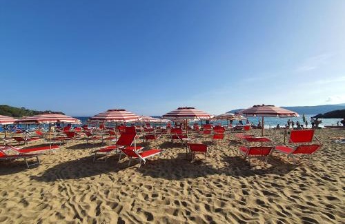 Lido di Capoliveri Apartamento | Lido I Palmizi