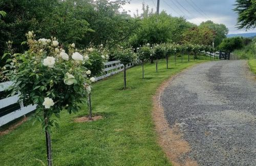 Rangitikei Casa | Lifestyle block Entire House