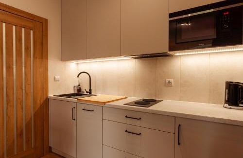 Plock Apartamento | Like-a House Starówka
