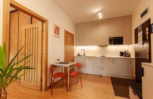 Plock Apartamento | Like-a House Starówka