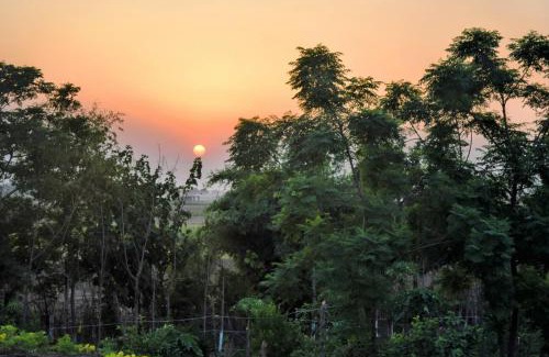 Kharar Casa | Likhyani Permaculture Farm