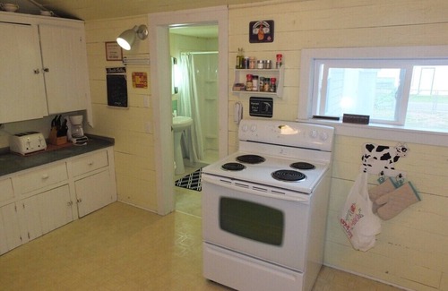 Beulah Cabaña | Lil's on the Lake - On Crystal Lake, Dog-Friendly, and Short Walk to Downtown Beulah!