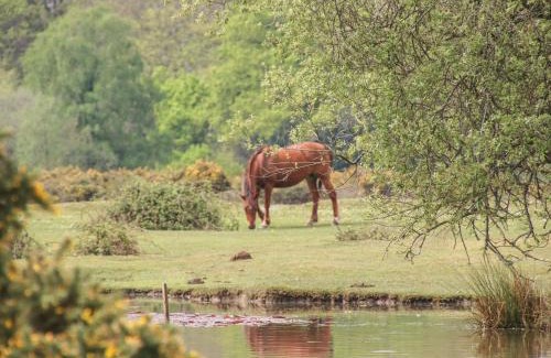 New Forest District Casa | Lilac Cottage