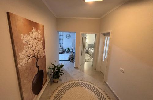 Elbasan Apartamento | Liljana Apartment 2
