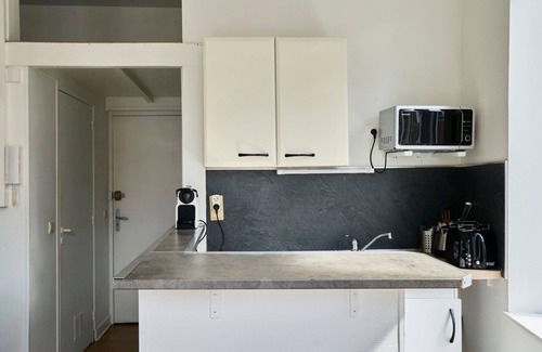Saint-Maurice Pellevoisin Apartamento | Lille Saint Maurice - Nice and functional studio