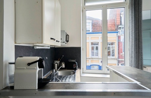 Saint-Maurice Pellevoisin Apartamento | Lille Saint Maurice - Nice and functional studio