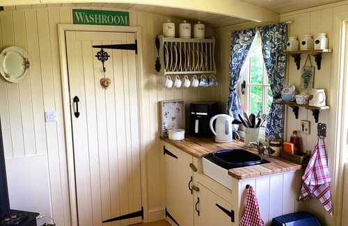 Bude Cabina | Lilly's Pad