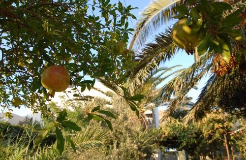 Astypalaia Apartamento | Lilo's Apartments