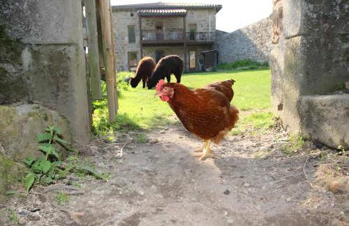 Saint-Julien-Labrousse Apartamento | Lilodahu Gite et animaux rigolos