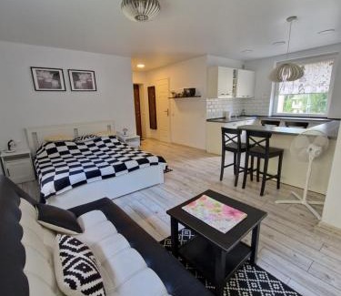 Druskininkai Apartamento | Lima Studio