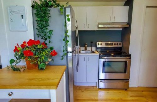 Vieux-Limoilou Apartamento | Limoilou Trendy 4 pers AC Near Downtown