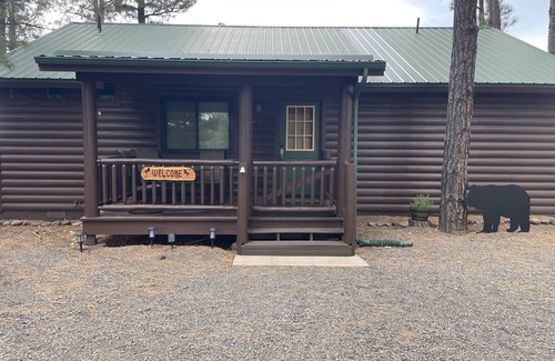 Overgaard Cabina | Lincoln Log Lodge - Backs up to National Forest!