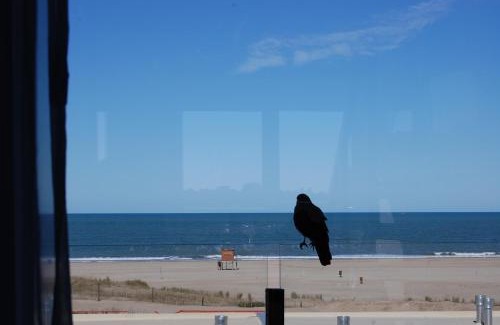 Mar de Las Pampas Apartamento | Linda Bay Playa