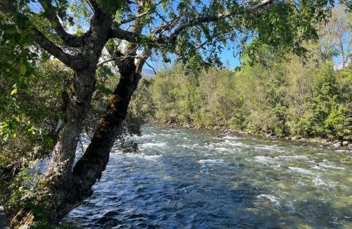Panguipulli Casa | Linda Cabaña pet friendly a orilla rio y bosque, cerca Termas