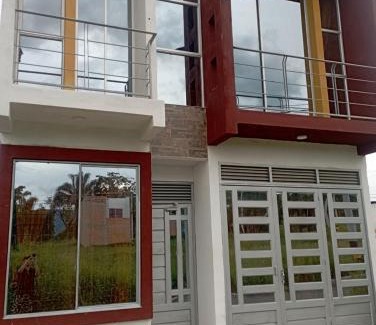 Carmen de Apicala Casa | Lindas palmas