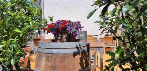 Ayl Apartamento | Linden's Pension-Restaurant