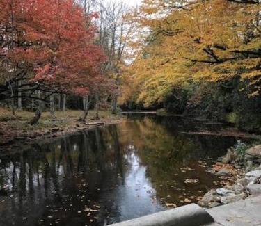 Newland Casa | Linville Land Harbor - River Run
