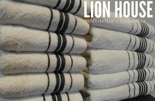 Villa Hermosa Apartamento | Lion House