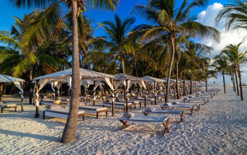 Malindi Marine National Park Hotel | Lion in the Sun Boutique Hotel & Spa
