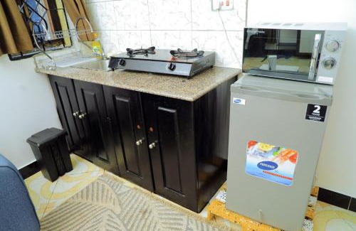 Manyoni Apartamento | Lion's Den Studio Apartment near town -A hidden Gem