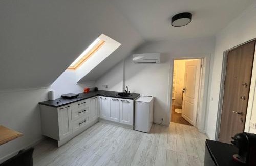 Satu Mare Apartamento | Lira Holiday Apartments