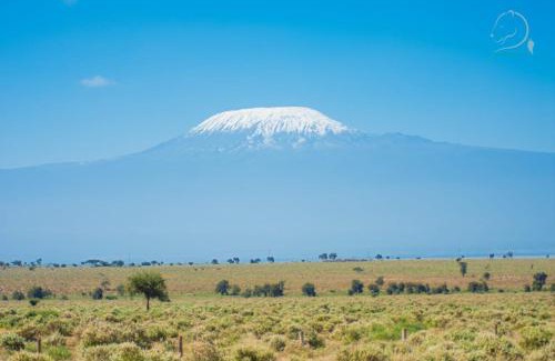 Amboseli Otro | Little Amanya Camp Amboseli