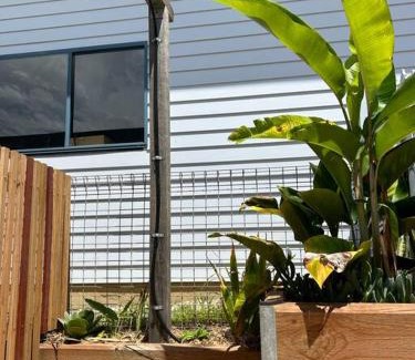 Sawtell Apartamento | Little Banksia