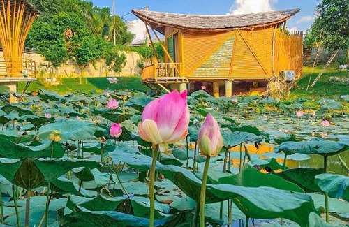 Quoc Oai Otro | LITTLE BEE HOUSE