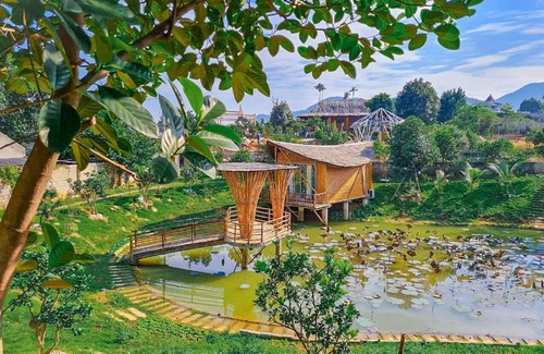 Quoc Oai Otro | LITTLE BEE HOUSE
