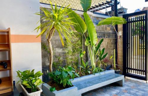 Minh An Casa | Little Boss Homestay
