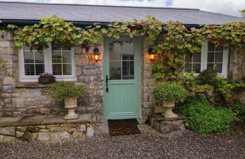 Cowbridge Casa | Little Cloud