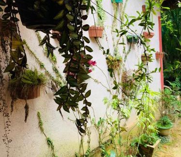 Ambagollapathana Hotel | Little Cottage