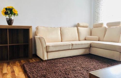 Satu Mare Apartamento | Little Cute Homey Apartman