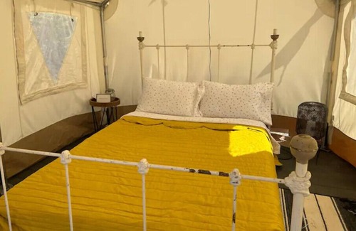 Lorena Alquiler De RV | Little Dipper Two-Starlite Glampground