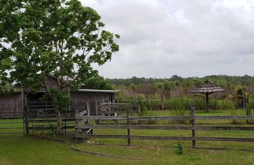 Perry Casa | Little Fish House Casita de Peces Sugar Sand Farm