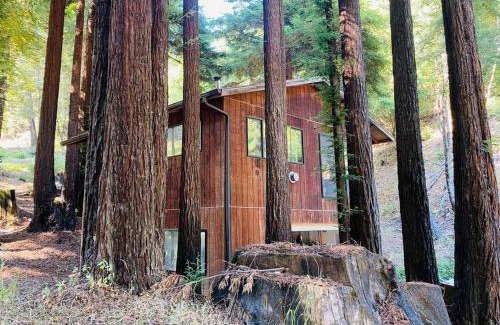 Garberville Apartamento | Little House in the Redwoods with a hot tub!