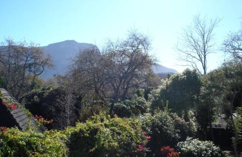 Constantia Casa | Little House Villa