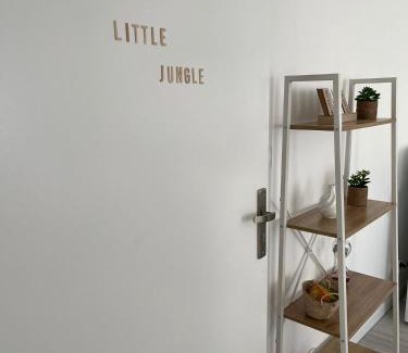 Vierzon Apartamento | Little Jungle - T2 avec parking