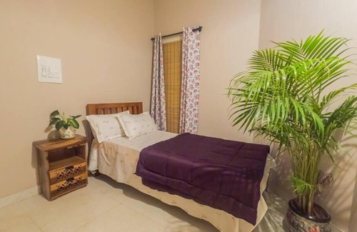 Bengaluru Casa | Little Liz