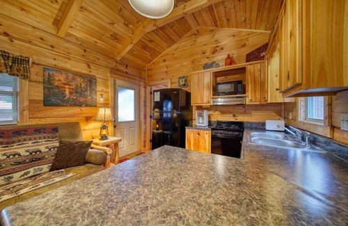 Blairsville Cabina | Little Mia's Mountain View Cabin