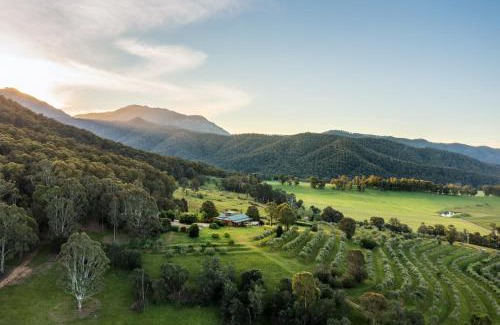 Porepunkah Casa | Little Olive Cabin