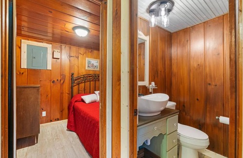 Carp Lake Cabina | Little Red - Charming and Close to Mackinac Island Ferry