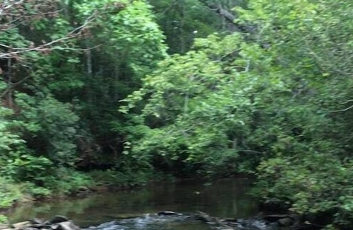 Menlo Cabina | Little River Hideaway en la montaña Lookout
