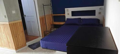 Daun Penh Casa | Little Susie Family Room