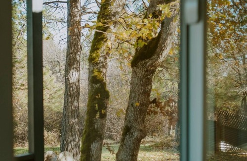 Central Point Apartamento | Little Wolf Tiny Home cozy, pet friendly, secluded