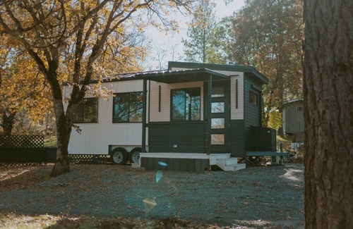 Central Point Apartamento | Little Wolf Tiny Home cozy, pet friendly, secluded