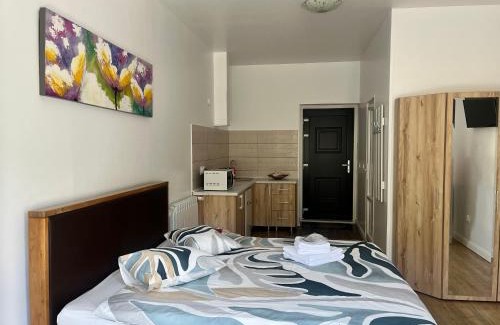 Centrul Vechi Apartamento | Livada Studio Apartments