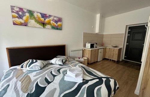 Centrul Vechi Apartamento | Livada Studio Apartments